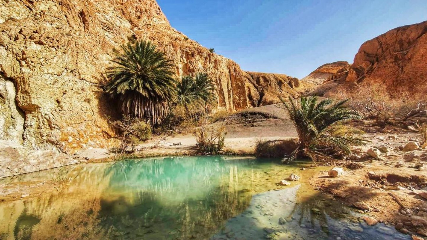 oasis sahara tunisie by djerbaimmobilier.com