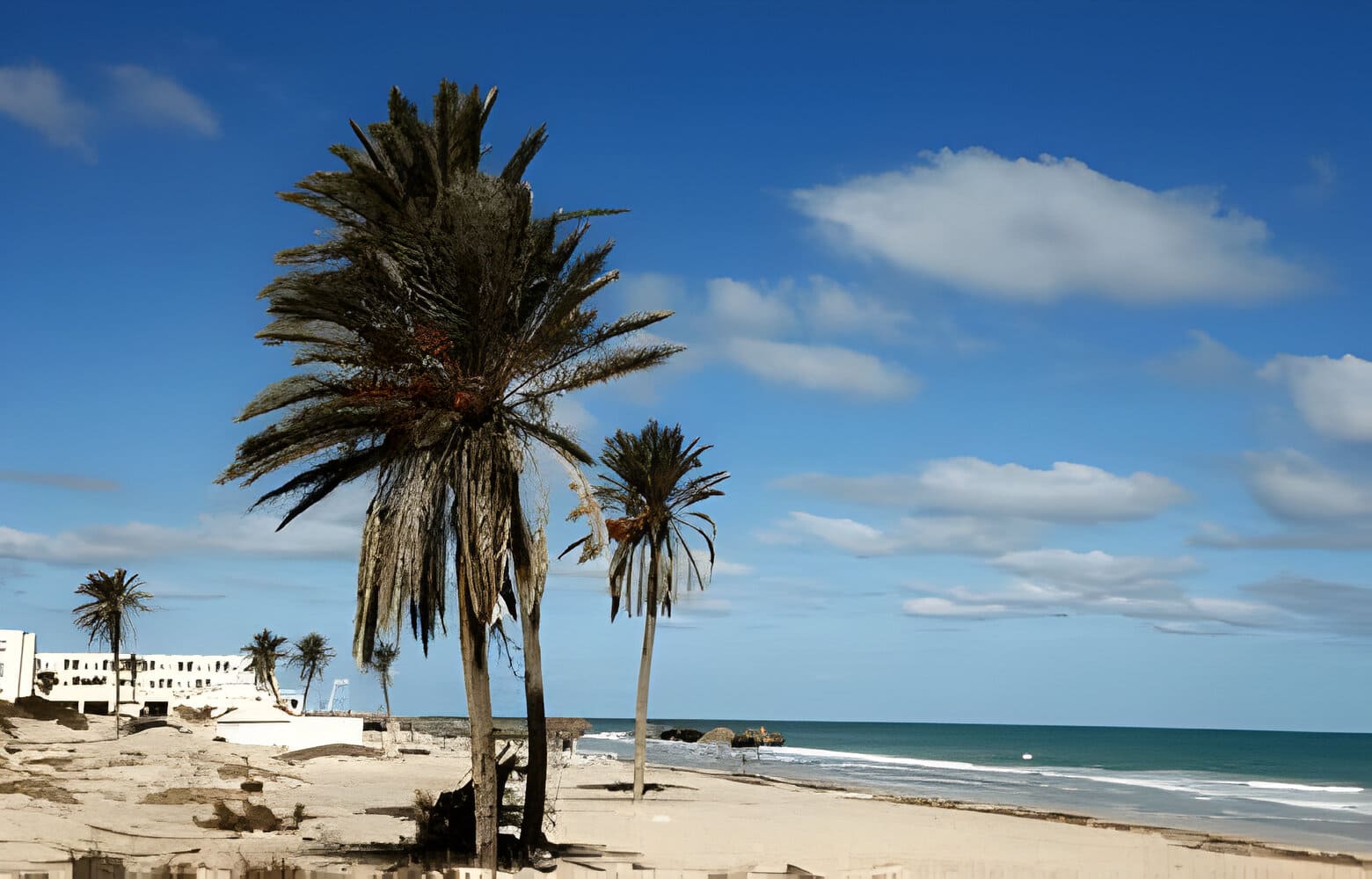 Djerba : L’Immobilier dans la Zone Touristique